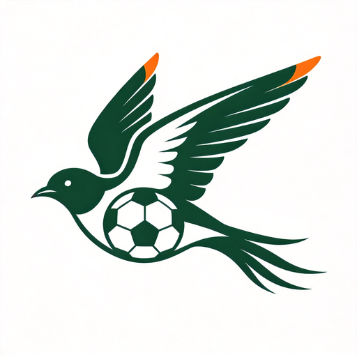 雨燕足球直播网 Logo